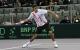 Tenis (42)